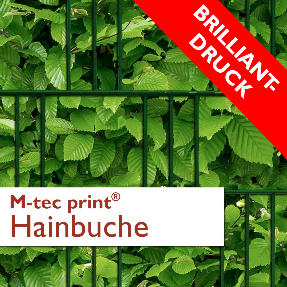 M-tec print® Brilliantdruck Hainbuche 3er