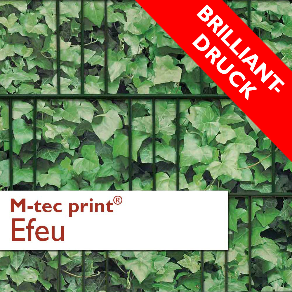 M-tec print® Brilliantdruck Efeu 3er Pack