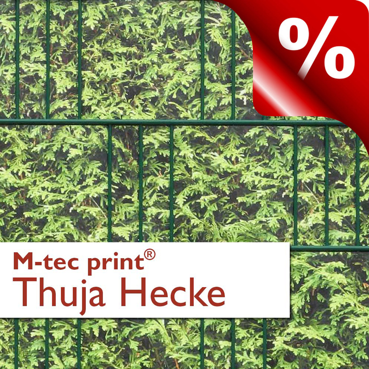 Thuja Hecke | 3er Pack Einseitig - B-Ware