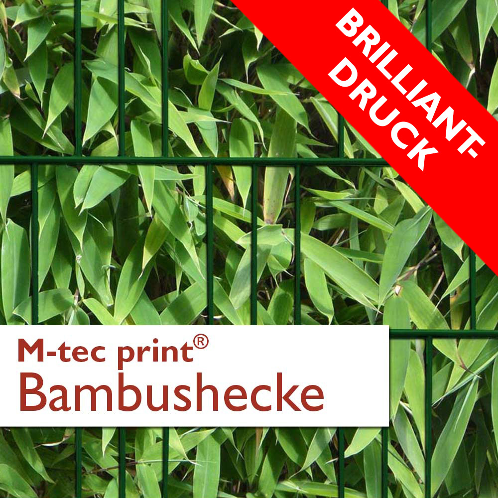 M-tec print® Brilliant | Bambushecke 3er Pack