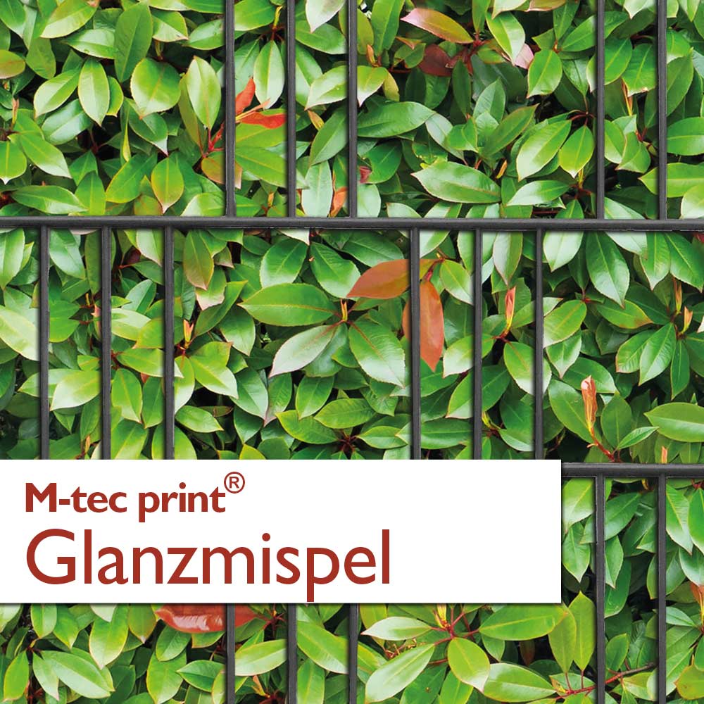 "M-tec print®" Weich-PVC - Glanzmispel